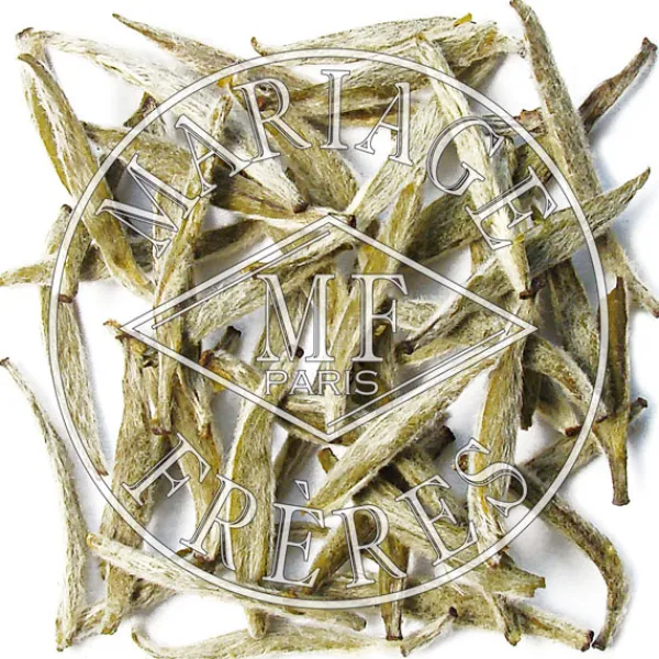 MARIAGE FRÈRES BLANC JASMIN- Jasmine|White Tea