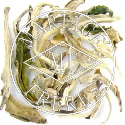 MARIAGE FRÈRES BRUME DE JASMIN- Jasmine|White Tea