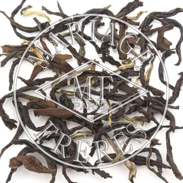 MARIAGE FRÈRES CASTLETON - Thé de Darjeeling d'été- Black Tea|Natural