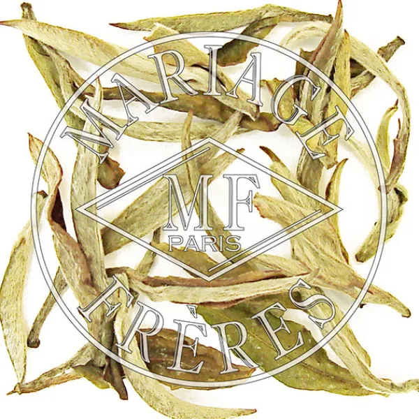 MARIAGE FRÈRES IVORY HIMALAYA™- White Tea|Natural