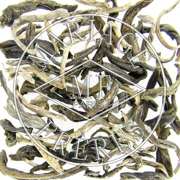 MARIAGE FRÈRES MONT D'INDOCHINE™- Green Tea|Natural