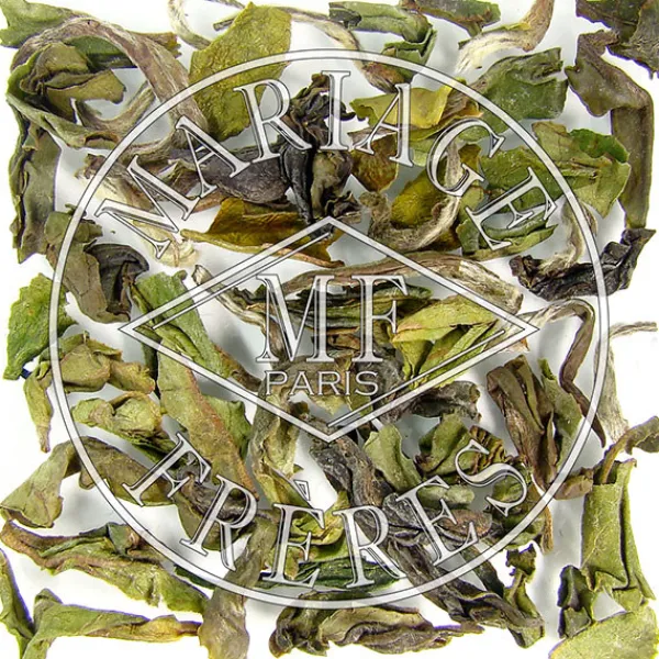 MARIAGE FRÈRES NAMRING UPPERSFTGFOP1 - EX9- Darjeeling|Himalaya - Darjeeling