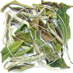 MARIAGE FRÈRES PAI MU TAN IMPÉRIAL - Thé blanc- White Tea|Natural