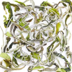MARIAGE FRÈRES PUTTABONG QUEEN - Thé de Darjeeling,récolte de printemps- Black Tea|Darjeeling Nouveau