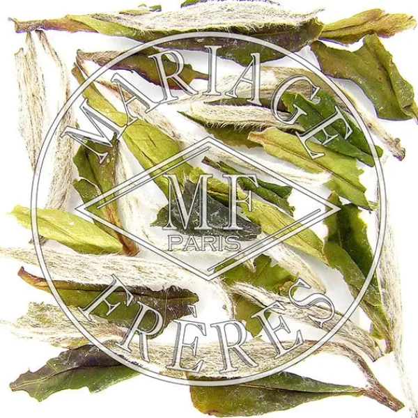 MARIAGE FRÈRES ROI DES PAÏ MU TAN- White Tea|Natural
