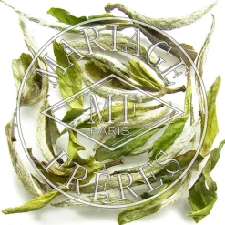 MARIAGE FRÈRES Thé de la Longévité suprême™- White Tea|Natural
