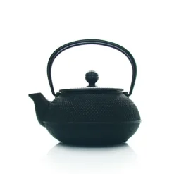 MARIAGE FRÈRES Théière « ARARE »- Cast-Iron Teapot|Teapots And Teacups