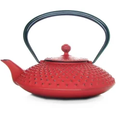 MARIAGE FRÈRES Théière « KANBIN »- Cast-Iron Teapot|Teapots And Teacups