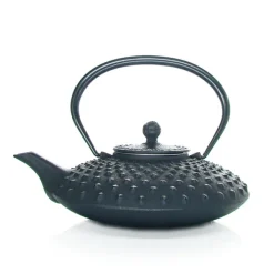 MARIAGE FRÈRES Théière « KANBIN »- Cast-Iron Teapot|Teapots And Teacups