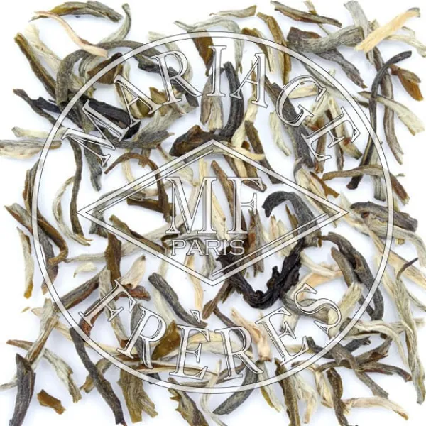 MARIAGE FRÈRES WHITE DOWNY- Green Tea|Natural